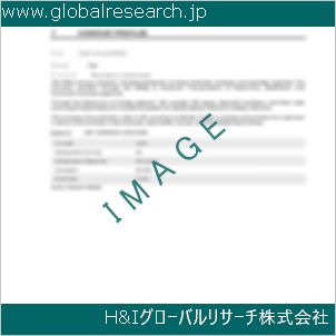 グローバルリサーチ調査資料のイメージ